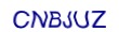 simple_captcha.jpg