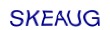 simple_captcha.jpg