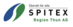 SPITEX Region Thun AG